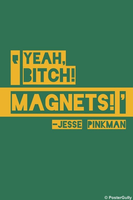 jesse pinkman magnets