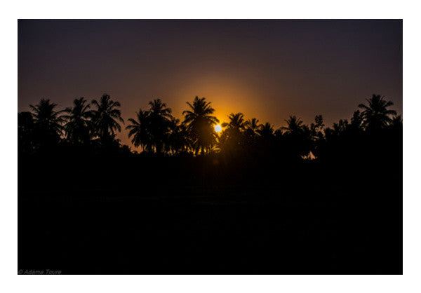 Wall Art, Coconut Wall Art