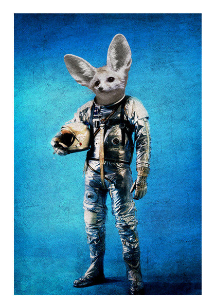 Wall Art, fennec the captain Wall Art