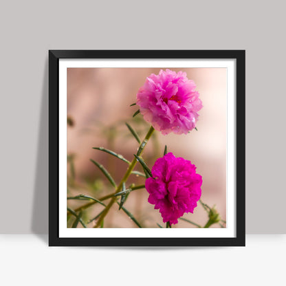 Moss Roses Square Art Prints