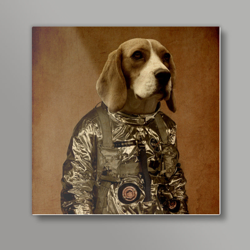 Beagle Square Art Prints