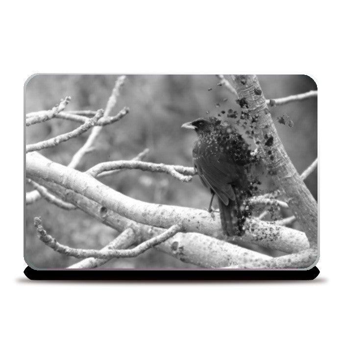 birdie #ashtag Laptop Skins