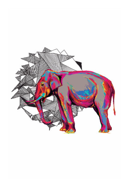 Wall Art, Elephant Dimensions | Lotta Farber, - PosterGully