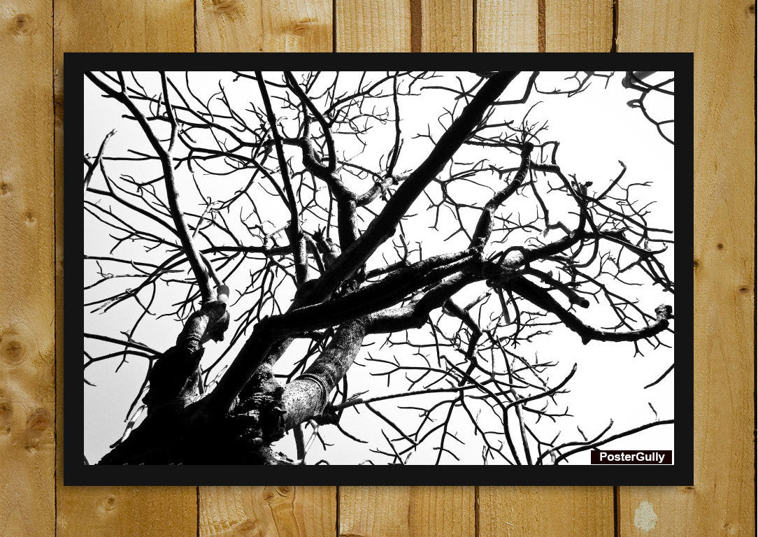 Wall Art, Tree Artwork