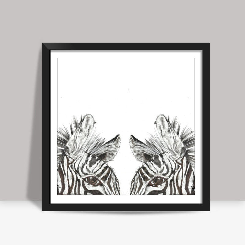 two zebras Square Art Prints