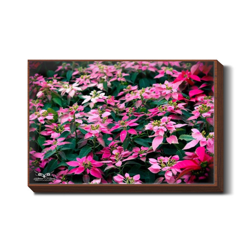 Blossom Flowers Wall Art