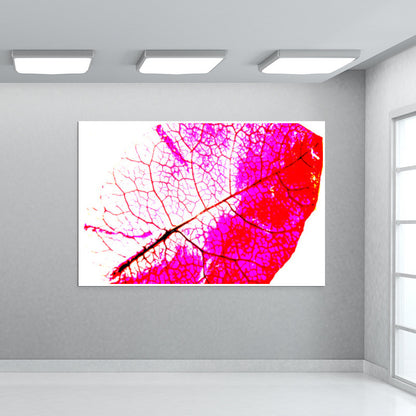 bougainvillea Wall Art