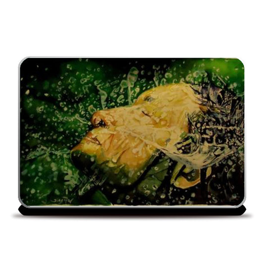 Laptop Skins, splash Laptop Skins