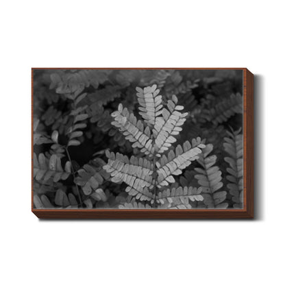 Fronds In Monochrome Wall Art