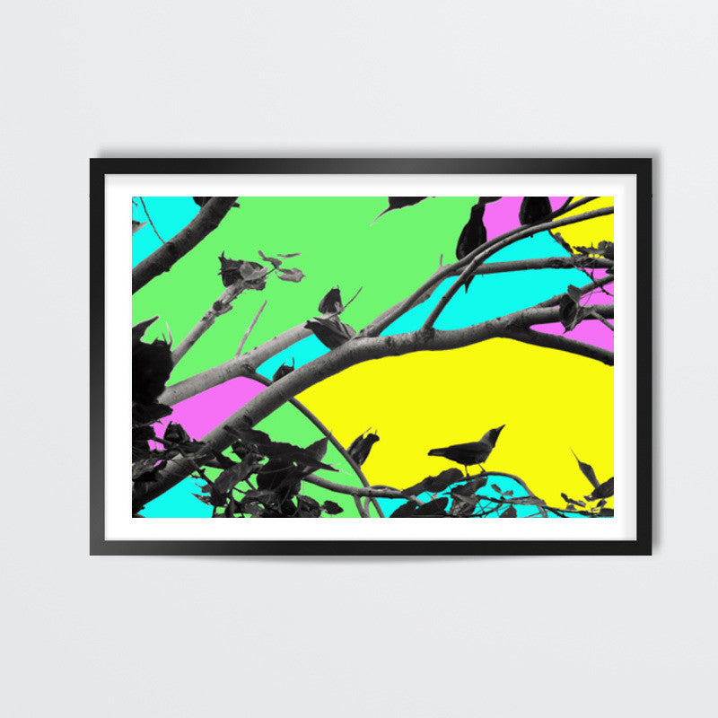 Birdies in Color Wall Art