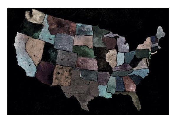 Usa map 1 Wall Art