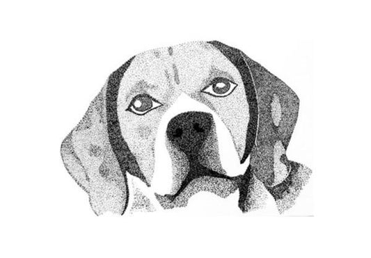 PosterGully Specials, Beagle Puppy Wall Art