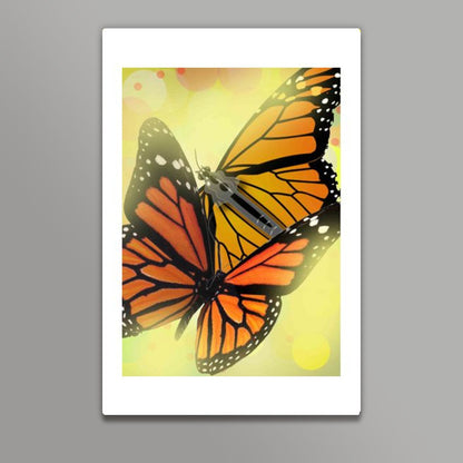 Butterfly Wall Art