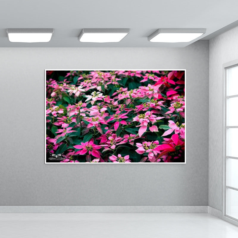 Blossom Flowers Wall Art