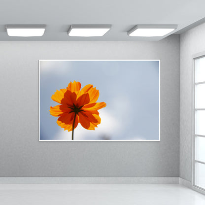 Golden Cosmos Wall Art