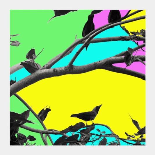 Birdies In Color Square Art Prints PosterGully Specials