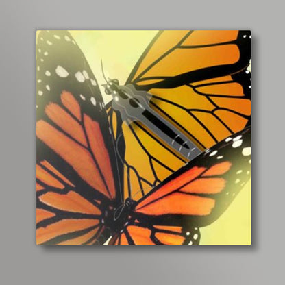 Butterfly Square Art Prints