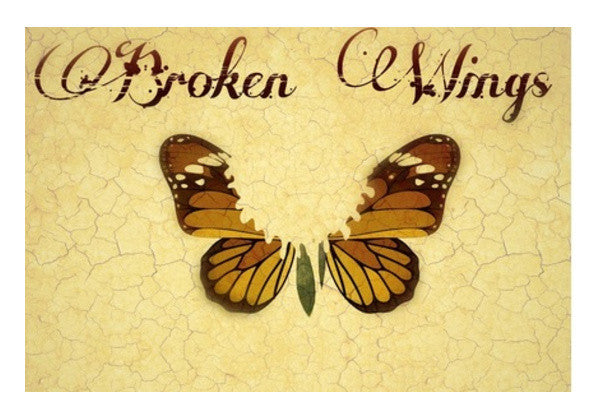 Wall Art, Broken Wings Wall Art