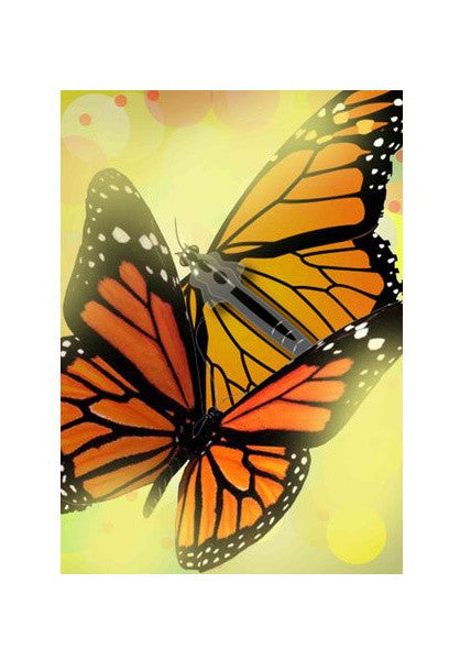 Wall Art, Butterfly Wall Art