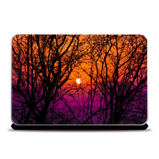 The Majestic Tree Laptop Skins