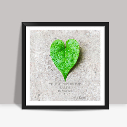 Nature Square Art Prints