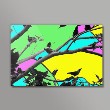 Birdies in Color Wall Art