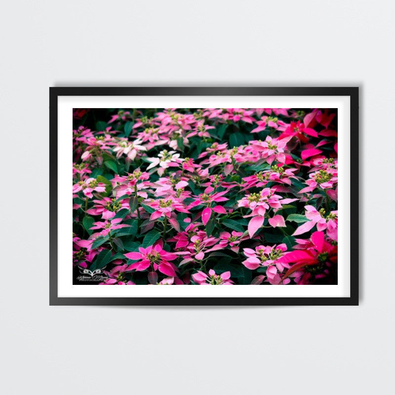 Blossom Flowers Wall Art