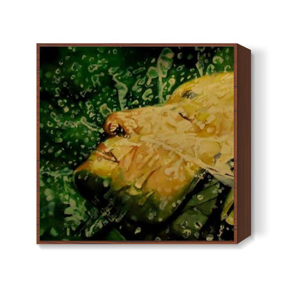 splash Square Art Prints