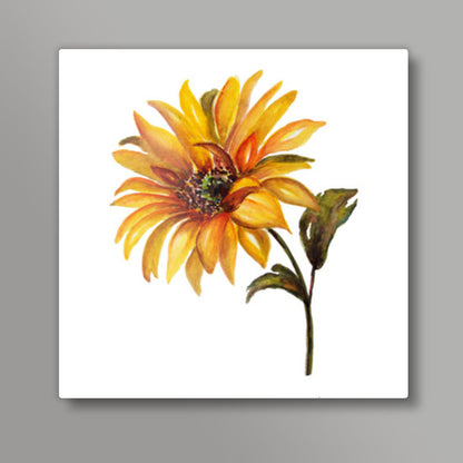 Sunflower Botanical Artistic Watercolor Square Art Prints