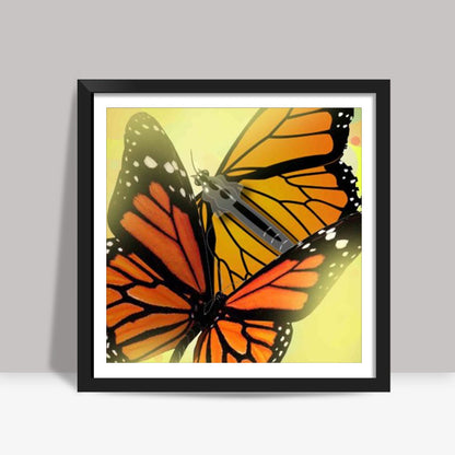 Butterfly Square Art Prints