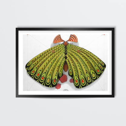 green moth Wall Art