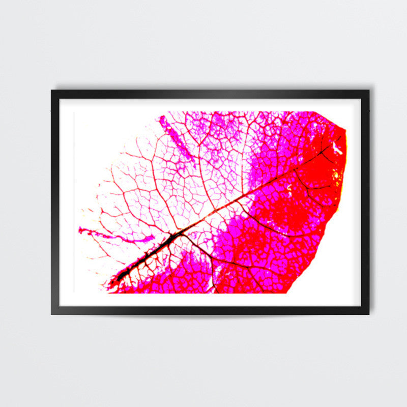 bougainvillea Wall Art