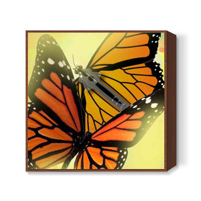 Butterfly Square Art Prints