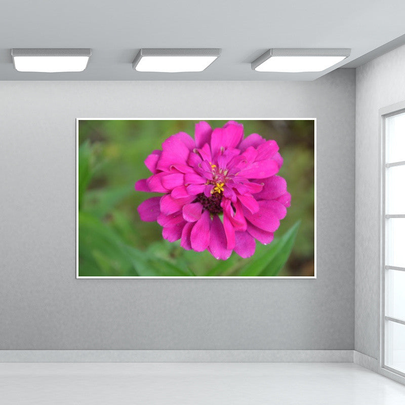 Bloom Wall Art