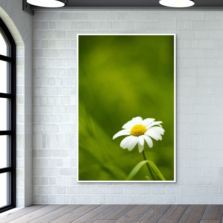 Daisy Wall Art