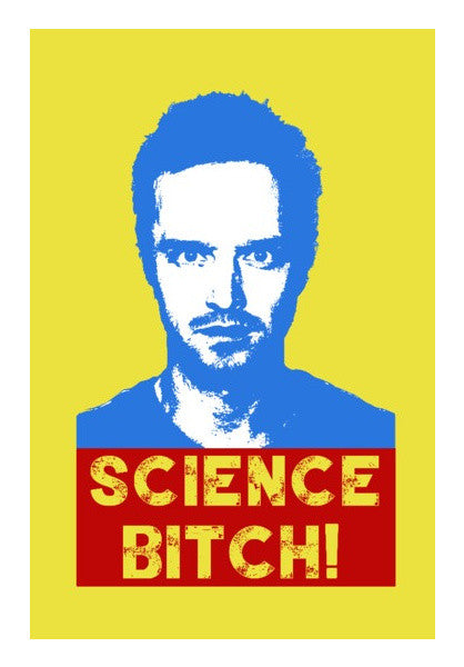 Wall Art, Breaking Bad - Science Bitch