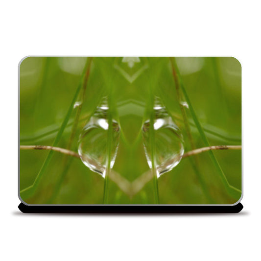 Laptop Skins, Best of Nature Laptop Skins