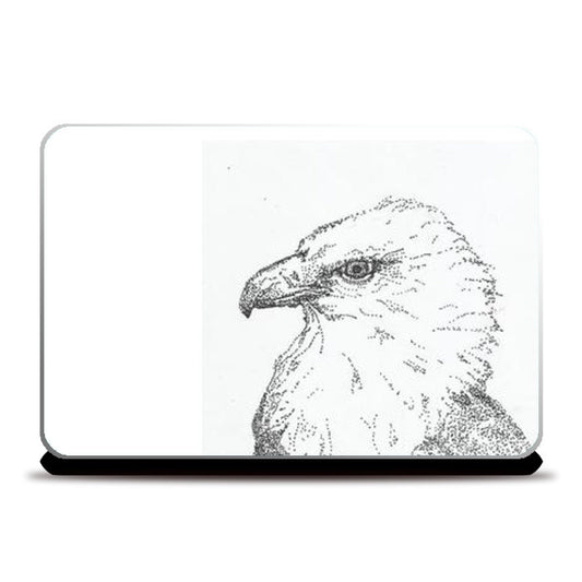 Laptop Skins, Eagle Laptop Skins