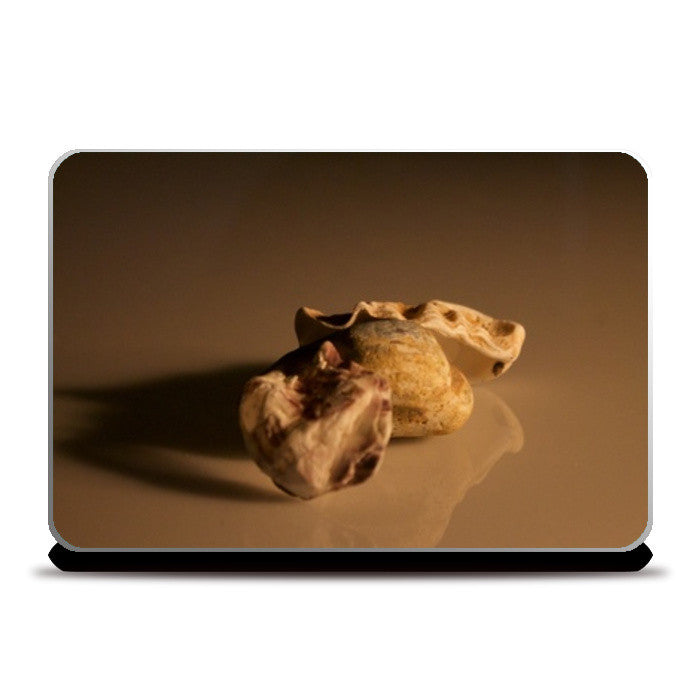 Laptop Skins, Sea Shells Laptop Skin | Kaushikee Gupta, - PosterGully