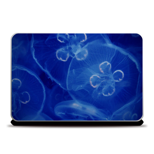 Underwater Jelly FIsh Laptop Skins