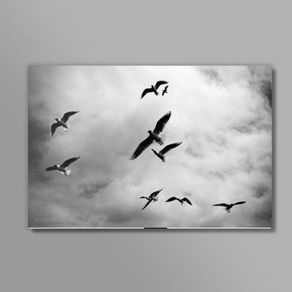 Birds Wall Art