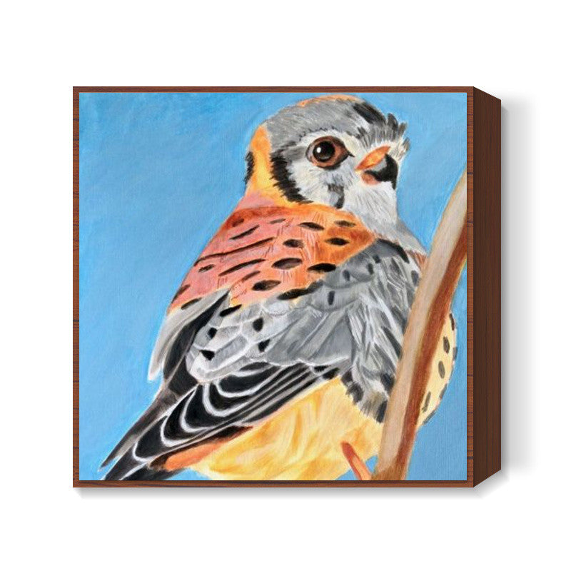 Kestrel Bird Square Artwork