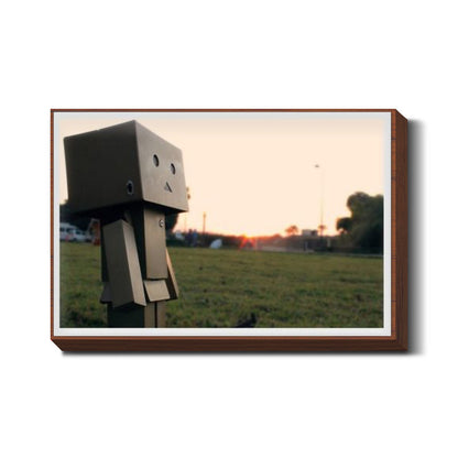 Danboard #1