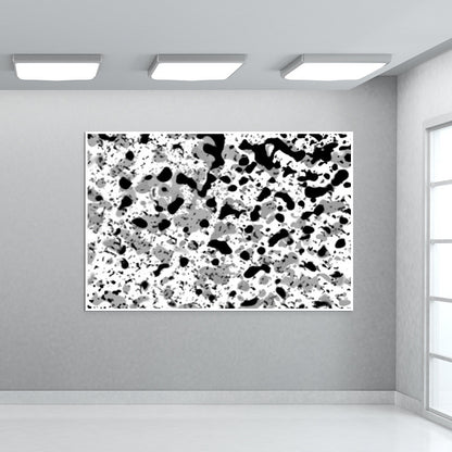 B&W Wall Art