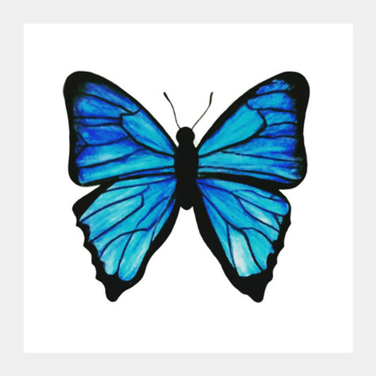 Butterfly Square Art Prints PosterGully Specials