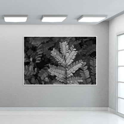 Fronds In Monochrome Wall Art