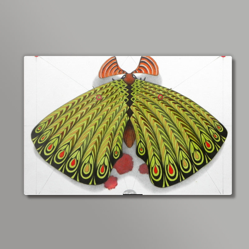 green moth Wall Art