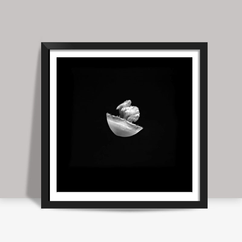 Tiny Jelly Fish Square Art Prints