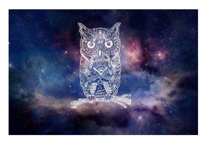 Wall Art, Cosmic owl Wall Art