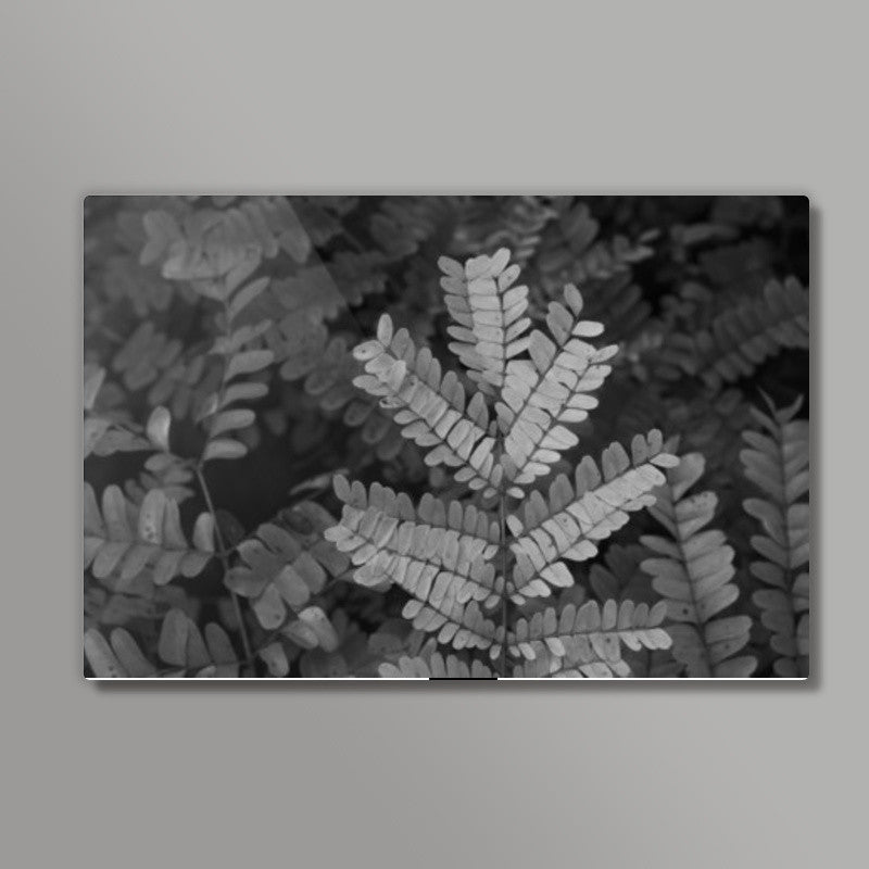 Fronds In Monochrome Wall Art